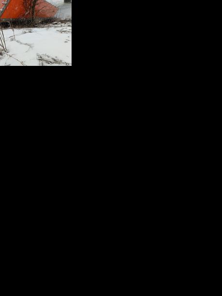 Winter weather causes multiple accidents, road closures