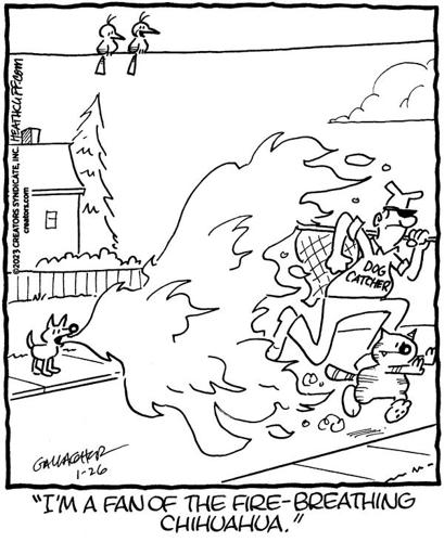 Heathcliff
