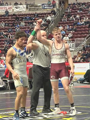 Wenner, Morrell win openers on state mat