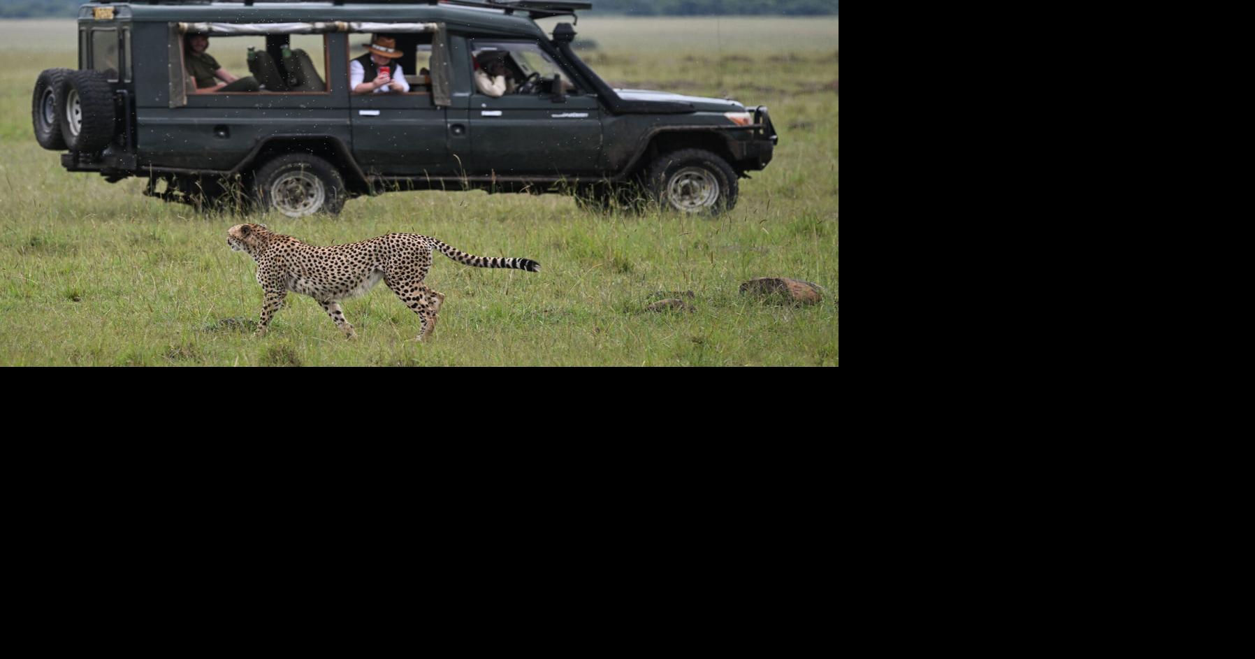 Unforgettable destinations for multi-gen trips, according to travel advisers