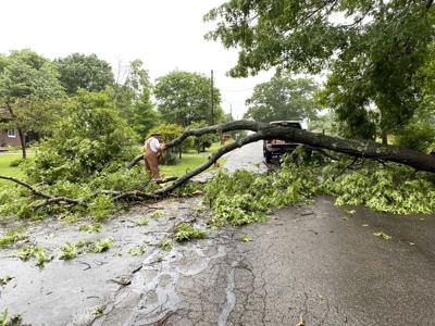 Storms cause downed trees