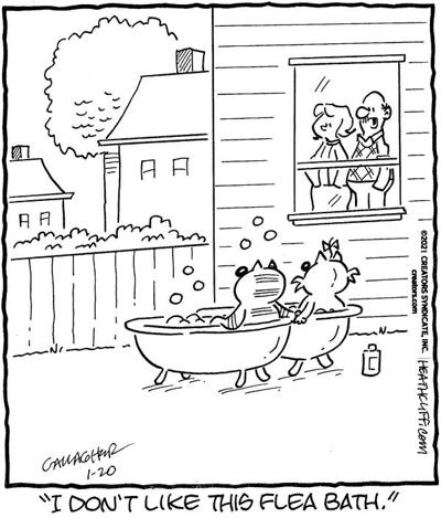 Heathcliff | Entertainment | thederrick.com