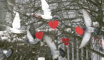 Valentine's Day scene