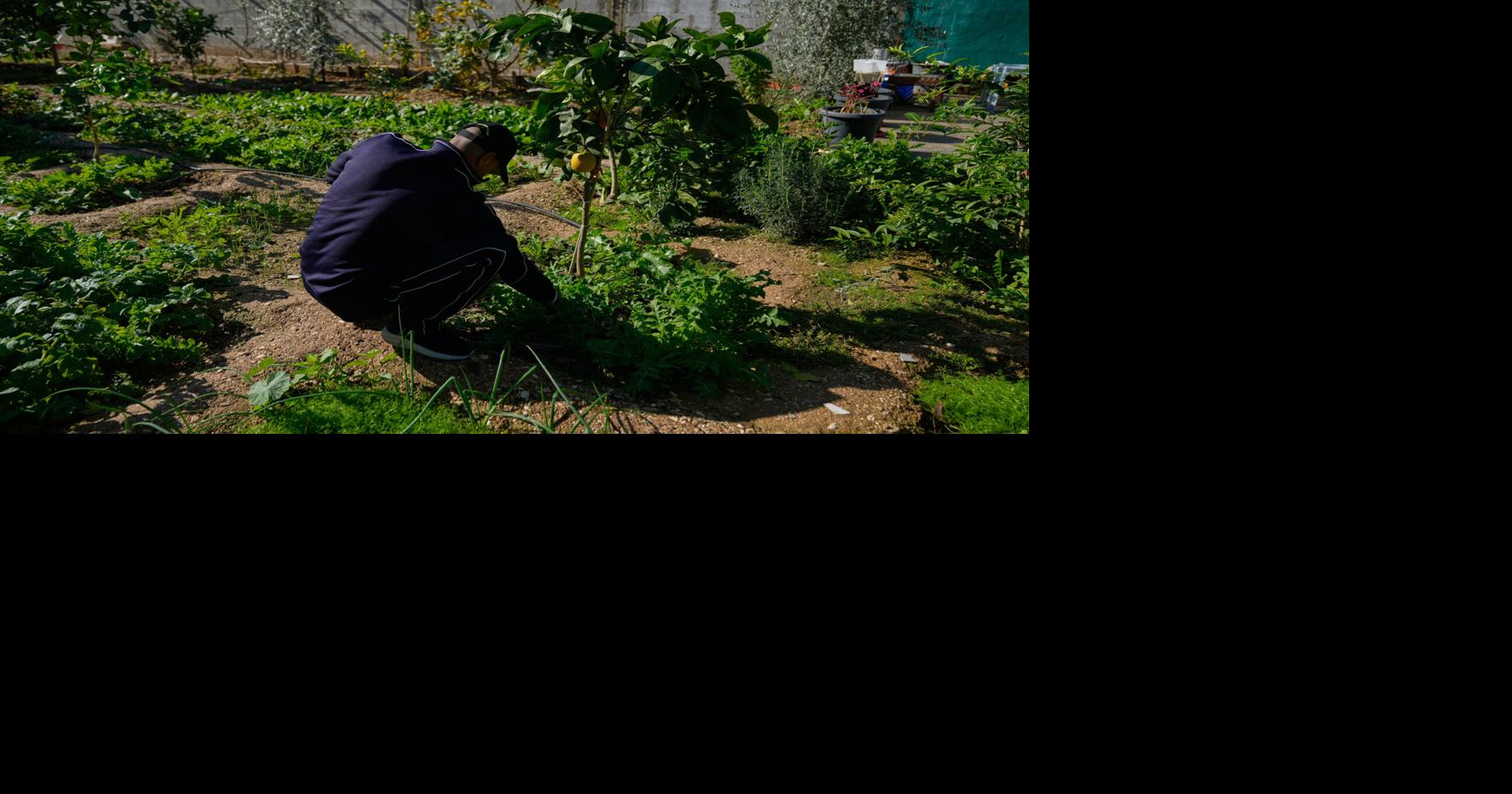 Israeli minister calls West Bank measures 'de facto sovereignty,' says no future Palestinian state