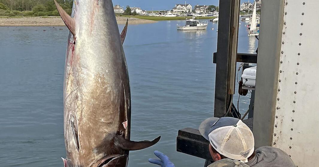 Massachusetts fishing group blasts Beacon Hill for ‘violation of public trust’ proposal