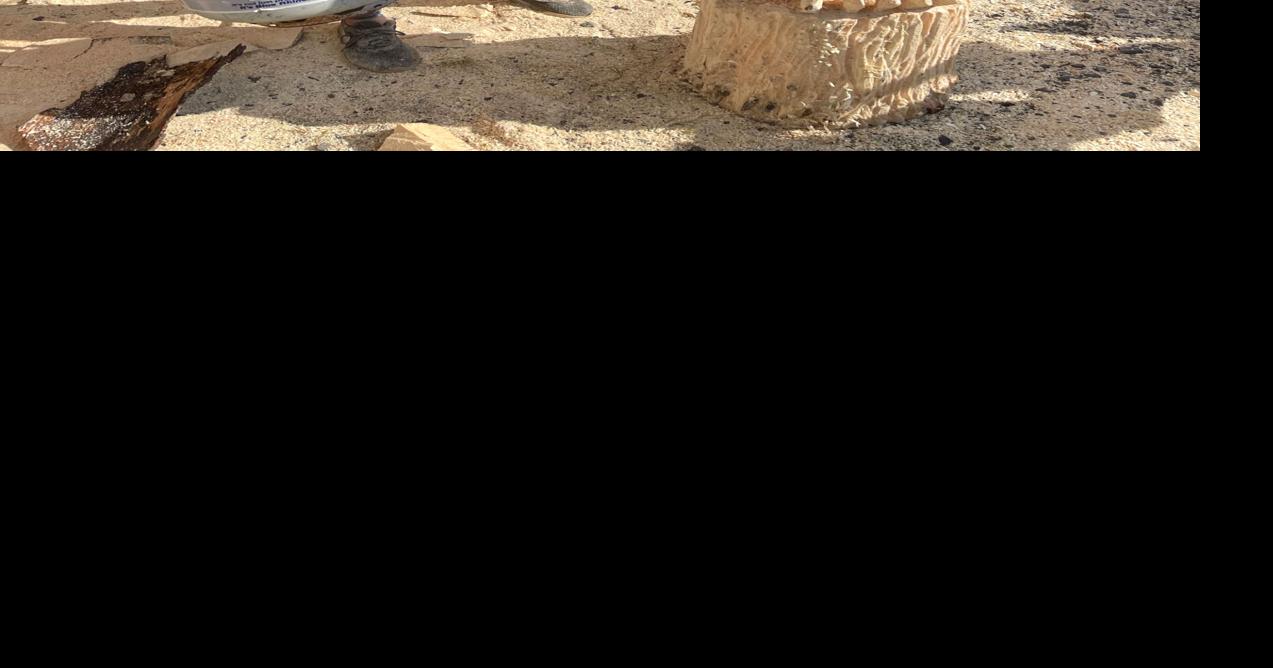 'Chainsaw' Jenna represents a new generation of carvers Community News