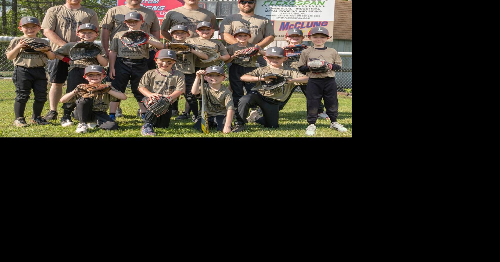 LAKEVIEW McConnell General Contracting Baseball | Features | thederrick.com