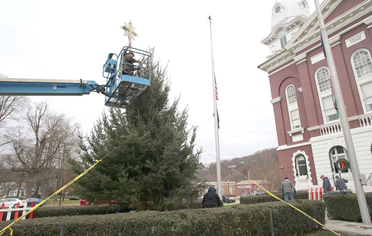 Franklin gets a new Christmas tree