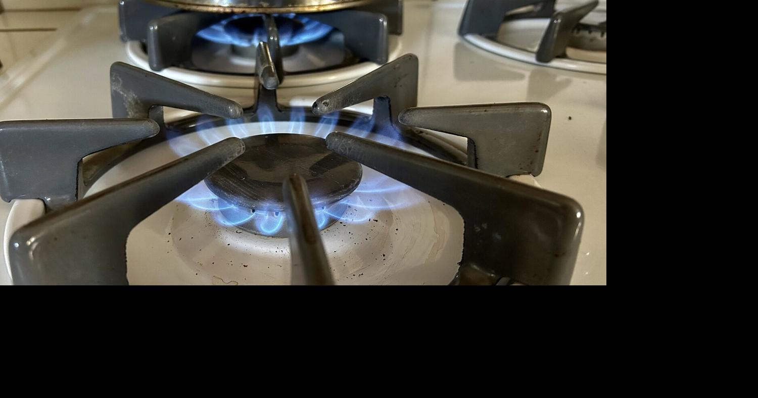 Should Coloradans have a constitutional right to cook with gas stoves? Voters will decide
