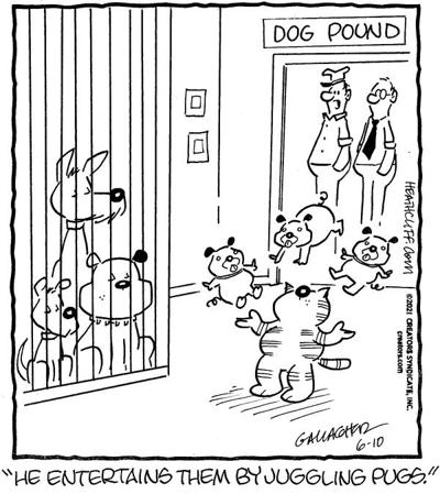 Heathcliff