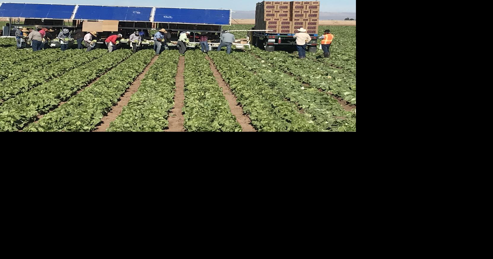 New shutdowns complicate farms’ plans | News | thedesertreview.com