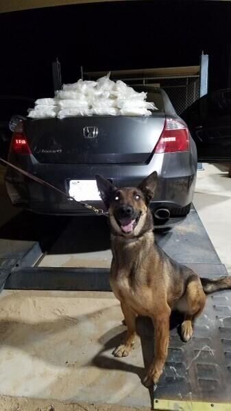 Border Patrol Agents Seize Over a Quarter of a Million Dollars in Deadly Illegal Narcotics over Valentine’s Day Weekend