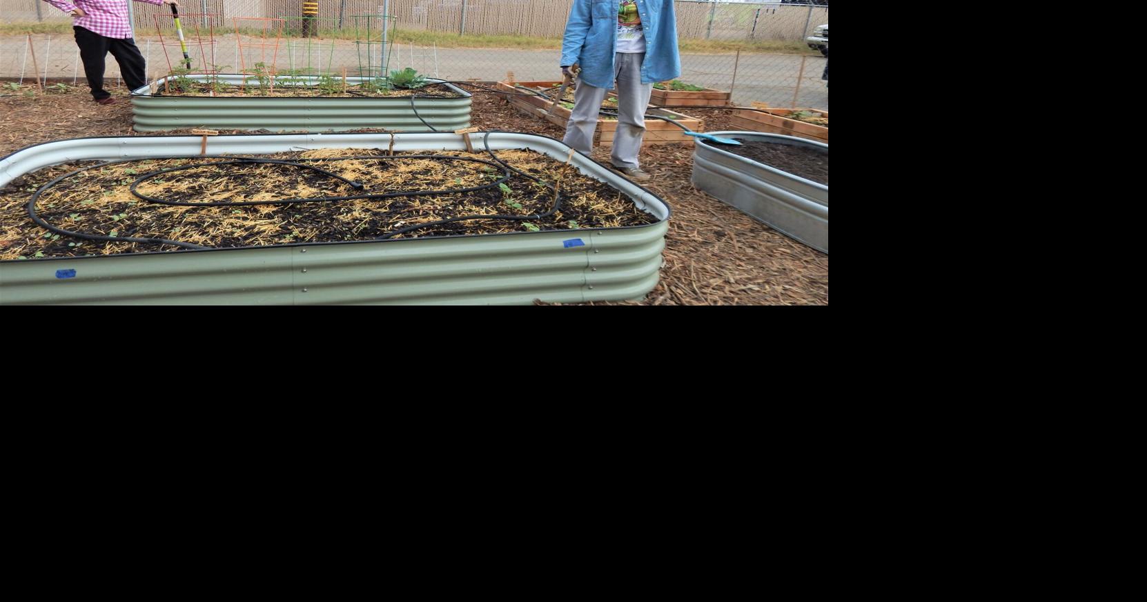 Brawley seniors bloom with community garden project Agriculture