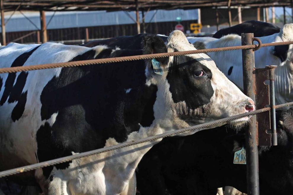What’s next on the table for the U.S. beef industry?