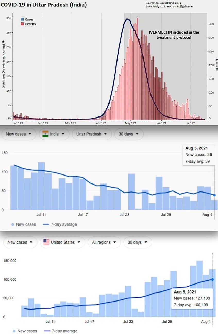 Ivermectin graphs