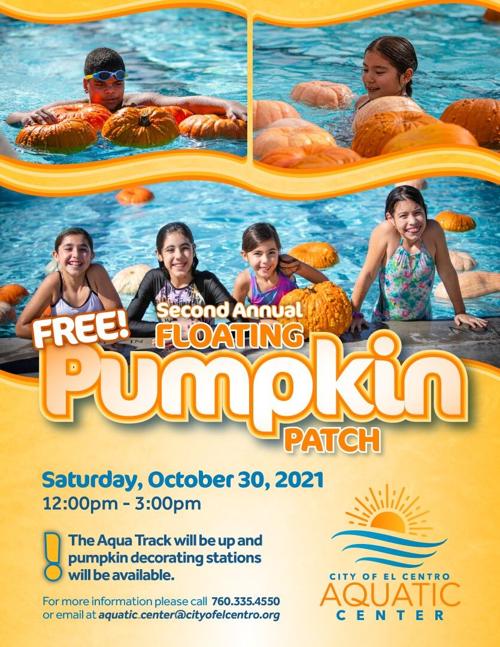 Pumpkins at Aquatic Center