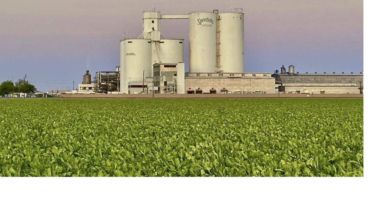 Southern Minnesota Beet Sugar Cooperative Factory Location