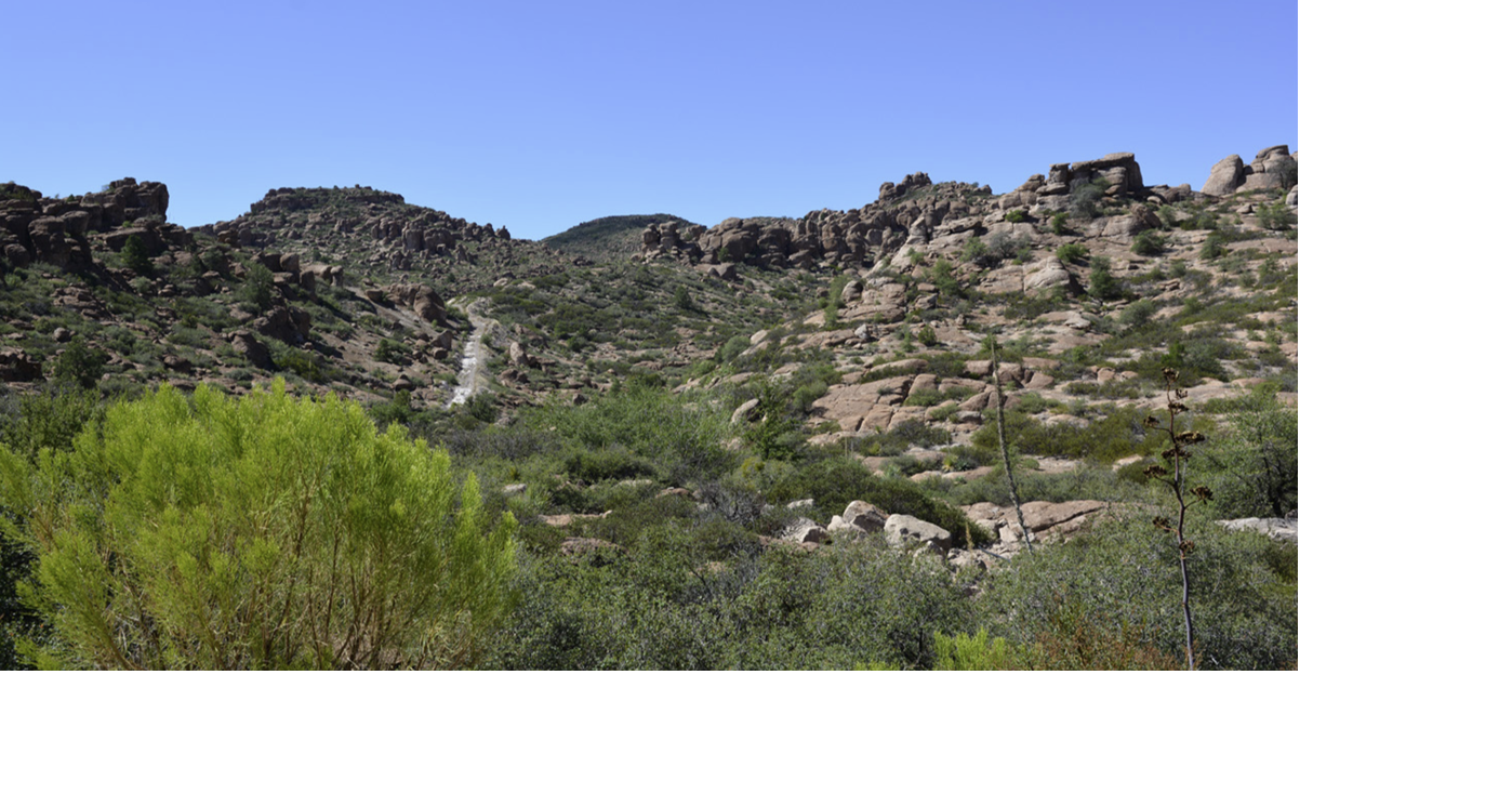 USDA approves land transfer tied to Arizona copper mine