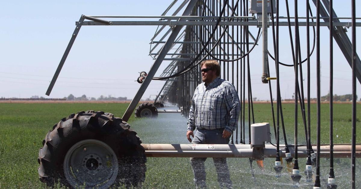 Cane Fallowing After the first year of fallowing, did it work? | Agriculture ...