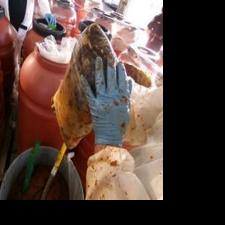 CBP officers discover more than $10 million worth of narcotics in ...