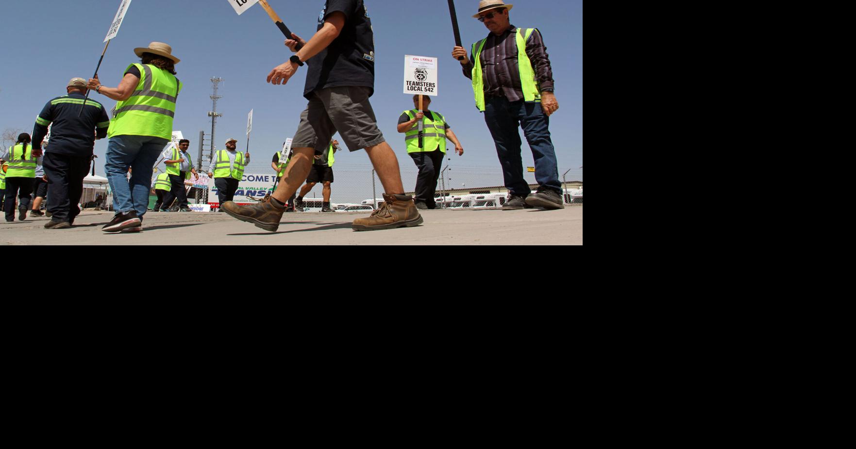 Bus drivers, union members on strike due to prolonged labor