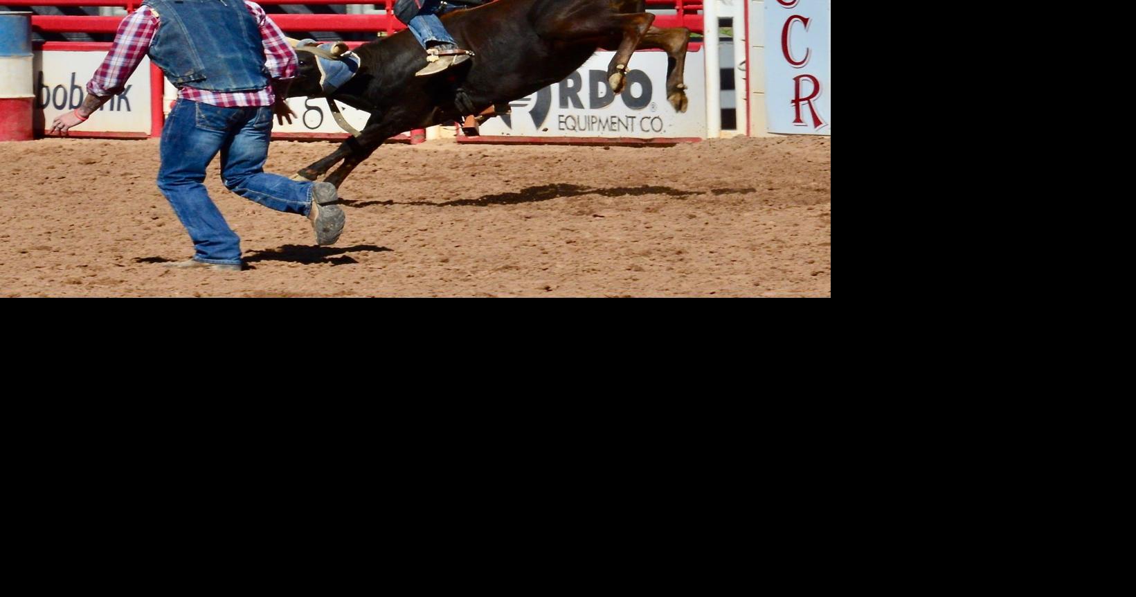 Mini Rodeo draws special needs fans Valley wide | Communities ...