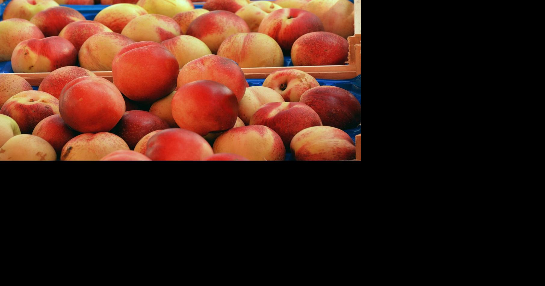 USDA awards $26.8M to support local food markets nationwide