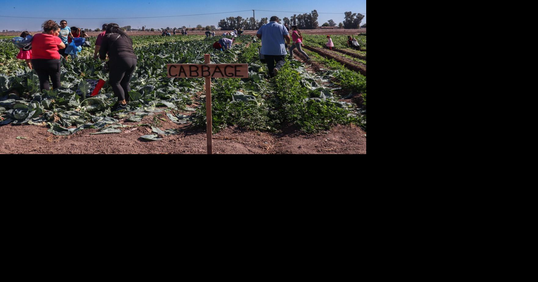 AgWest launches $15,000 grant for new farmers and ranchers