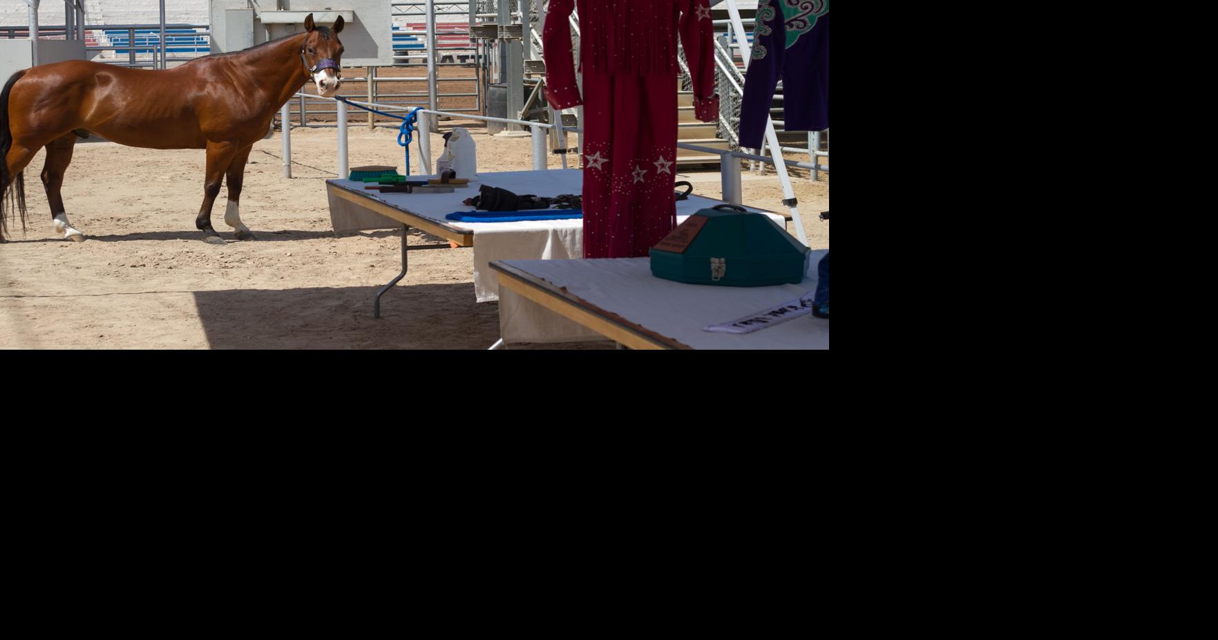 2016 Brawley Cattle Call Queen Boot Camp From Spurs to Curls Local