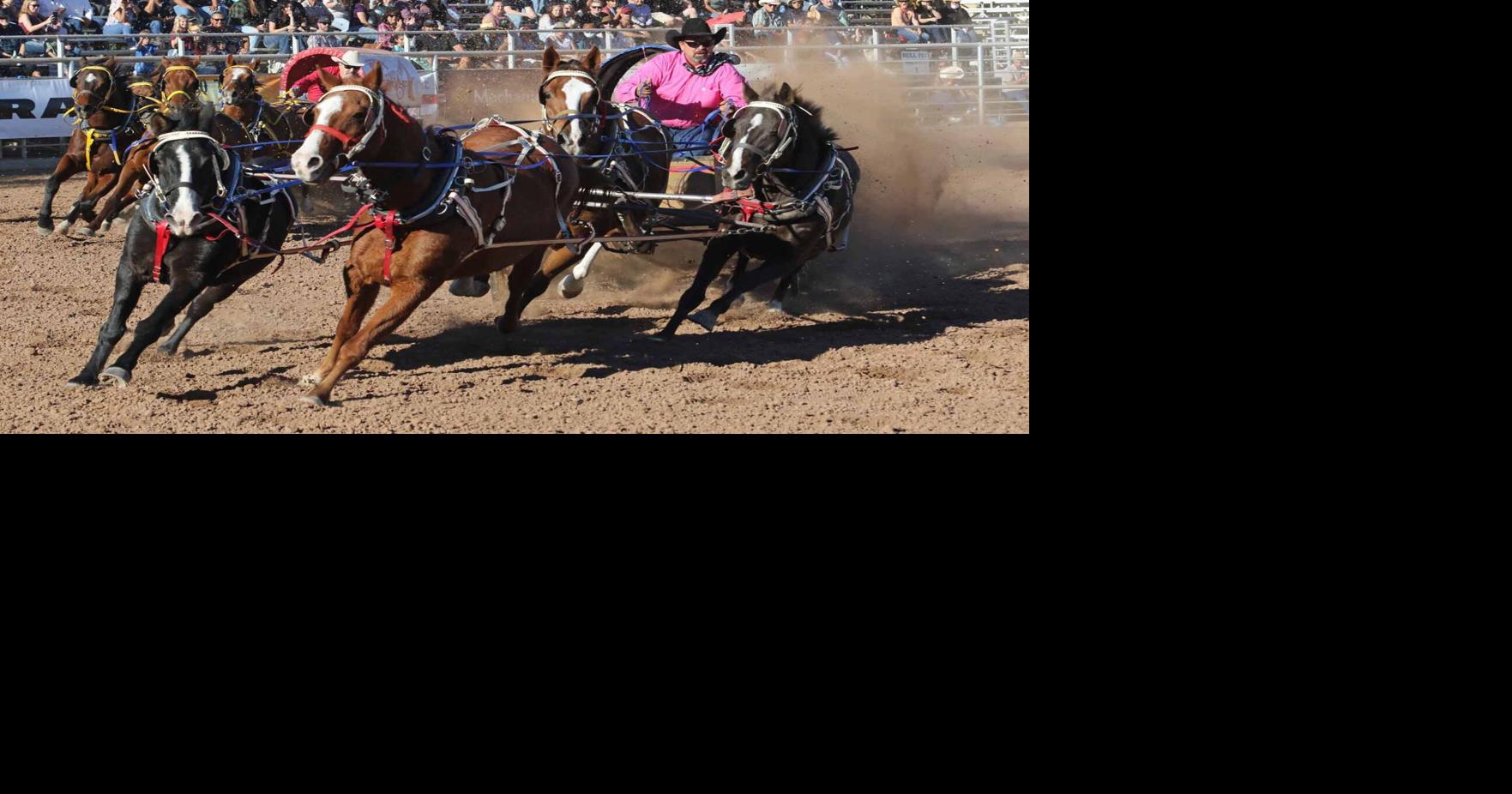 Cattle Call Rodeo returns A&E