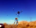 Bug splat