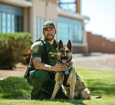 border patrol dog breed