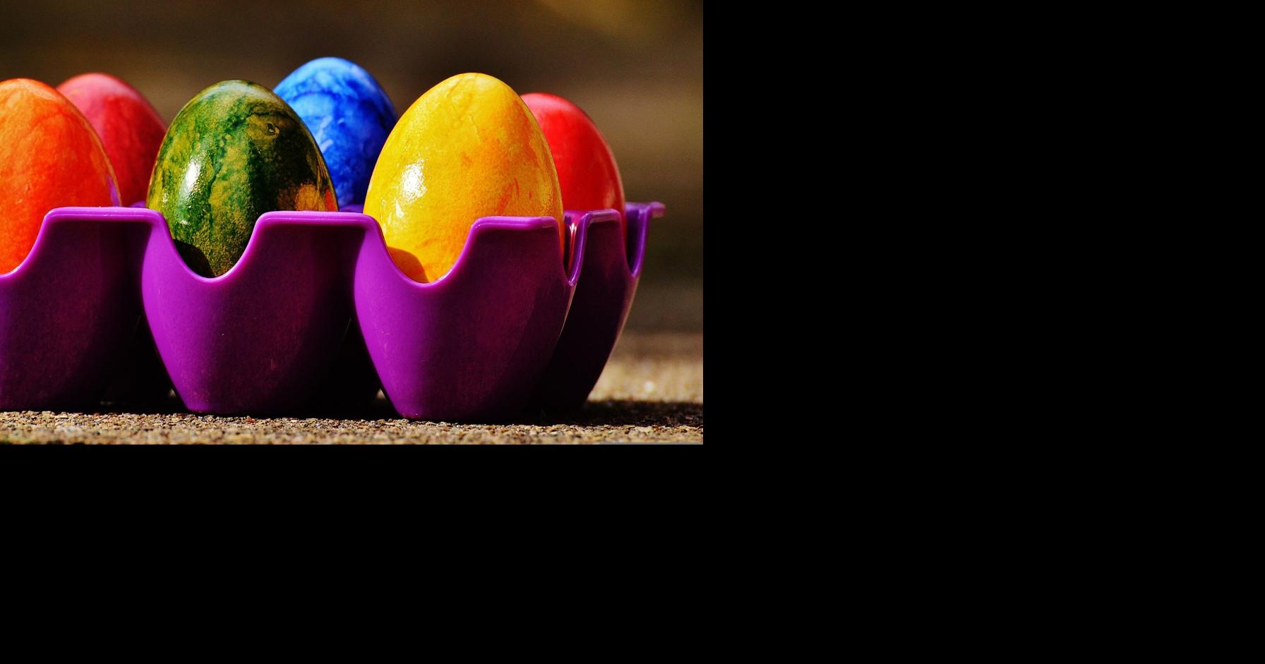 Travelers warned to follow U.S. rules on plants, fruits, and eggs