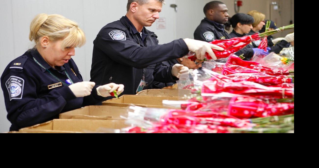 Roses are red, violets are blue, CBP reminds travelers what flowers can ...