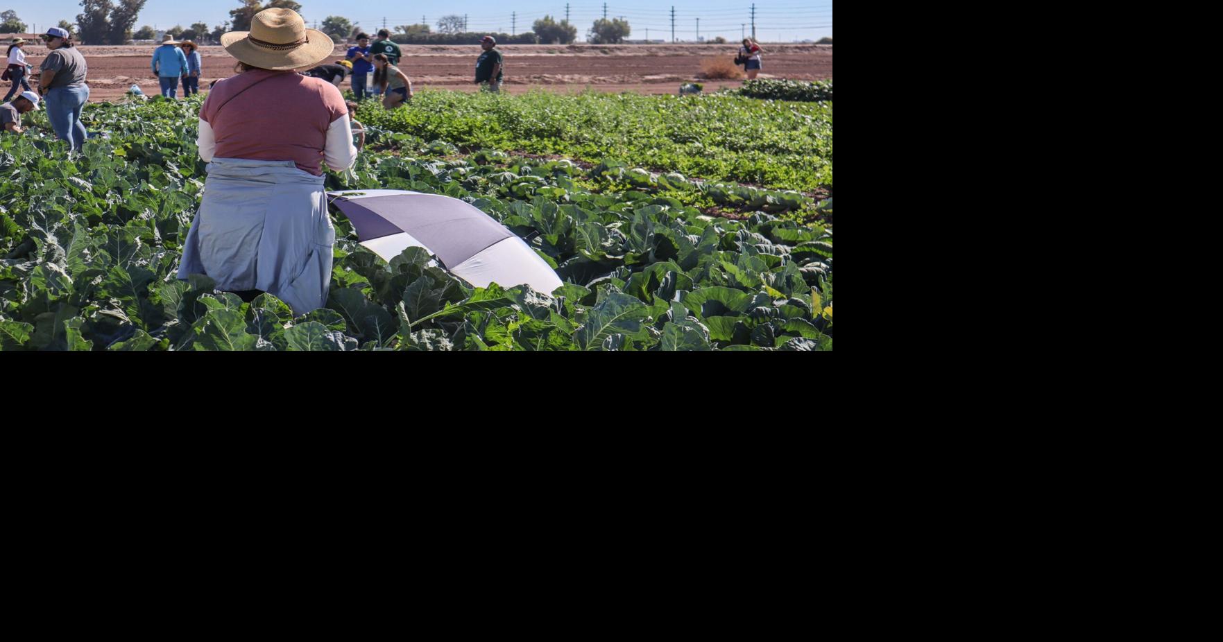 Farm Smart marks a harvest of 25 years