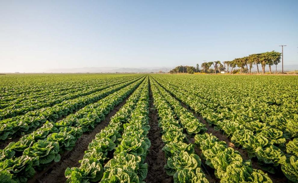 Backing the ranchers that put food on our tables