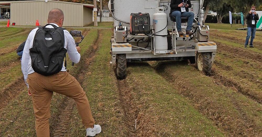 Farm tech focuses on robotic weeding in vegetables