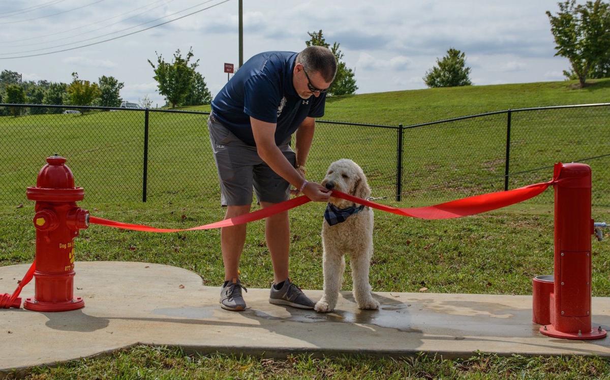 Trails to Tails Dog Park opens in Forest City News
