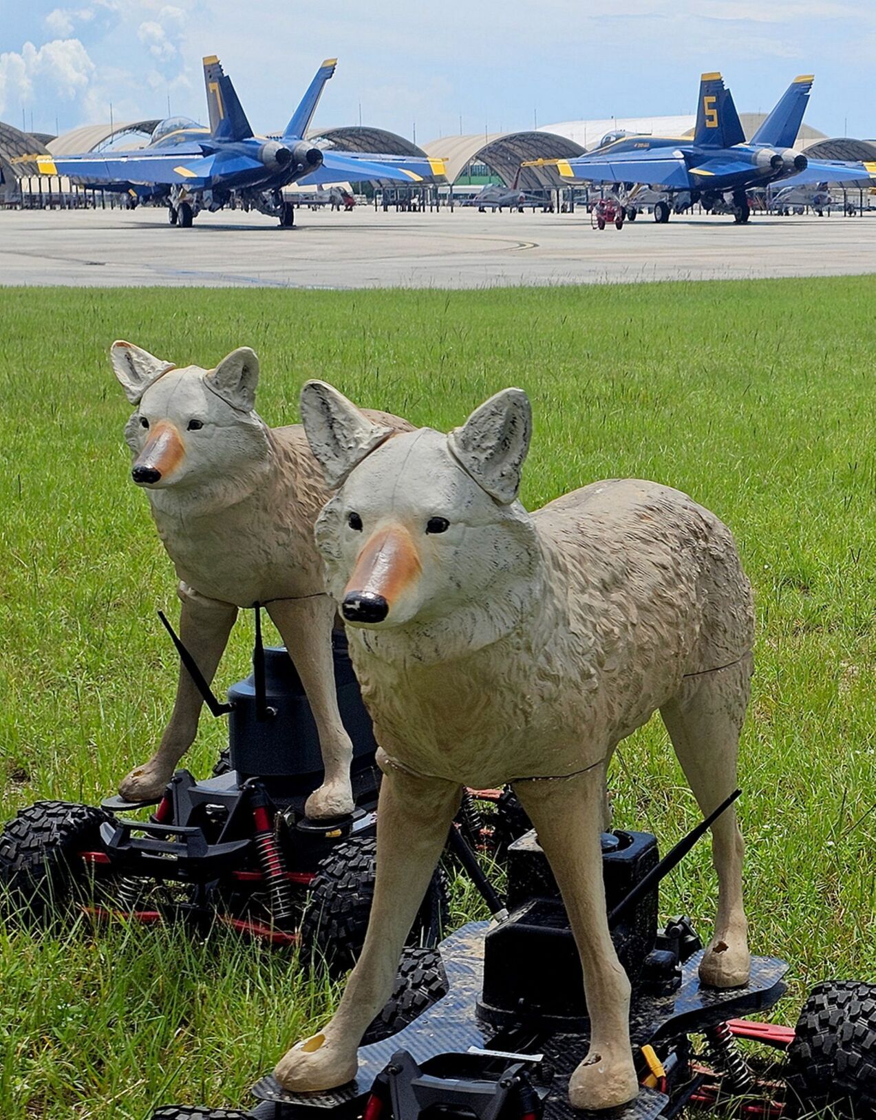 How these cyborg coyotes protect - 686fd5d258798.image 