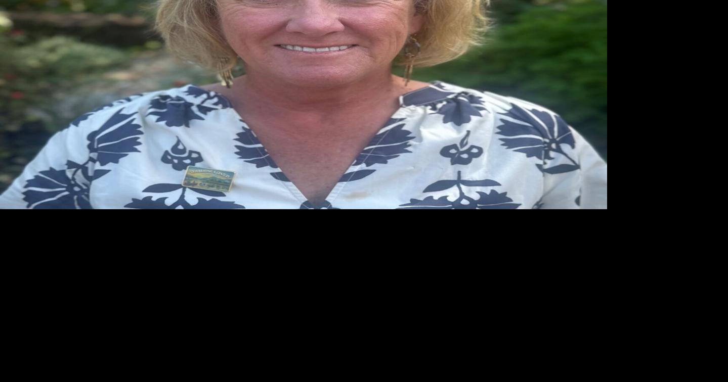 Lake Lure mayoral candidate says incubment 'needs to go'