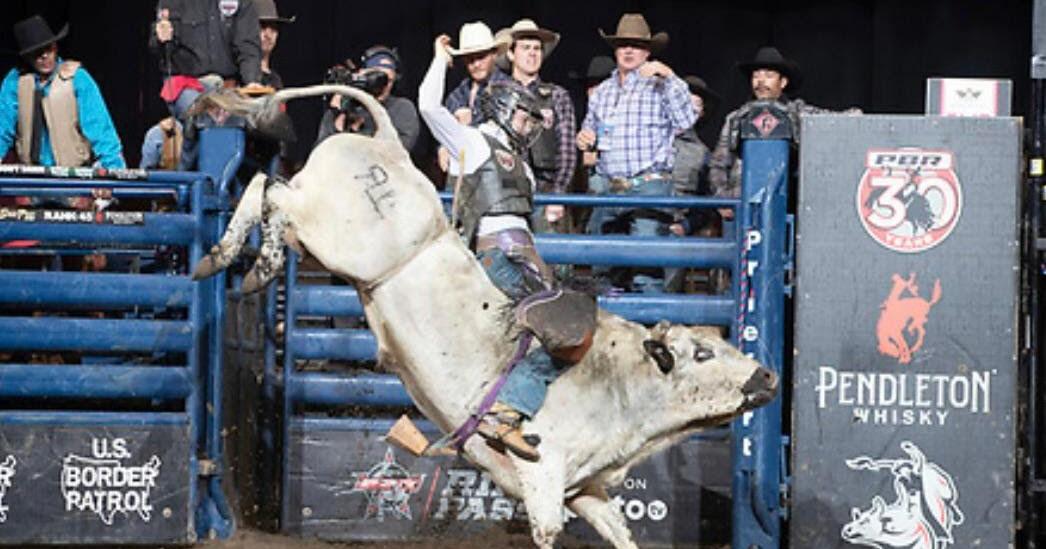 Local bull rider set to debut PBR season at TIEC | News ...