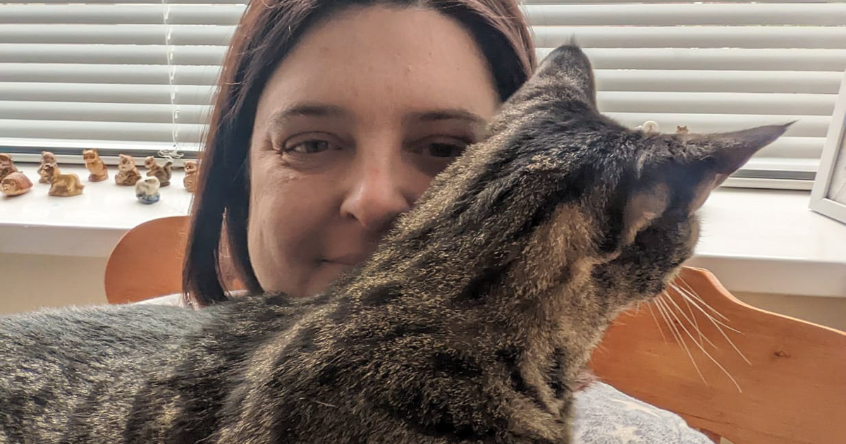 Inference Code Missing cat found dead after severed tail found in mailbox | National ...