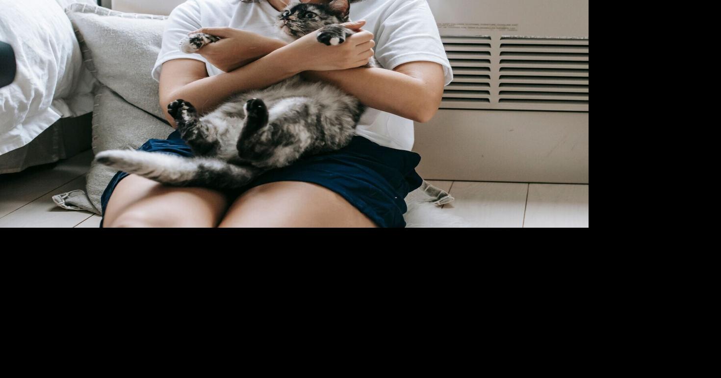 Purr-fect company? Happy humans spend more time with cats