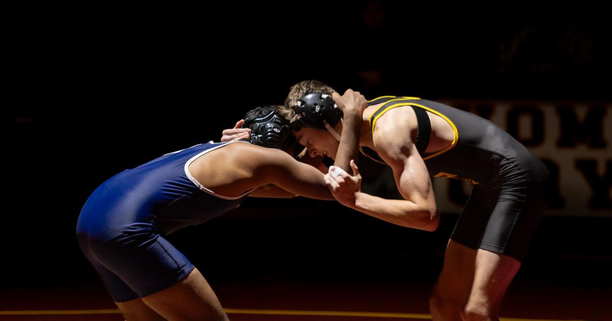 Gryphon grapplers capture conference championship | Archives ...