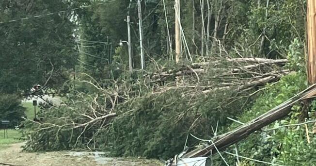 Tree Overtime Towns work overtime to clear trees, restore power; Helene also impacts ...