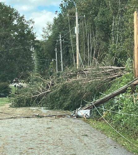 Tree Overtime Towns work overtime to clear trees, restore power; Helene also impacts ...