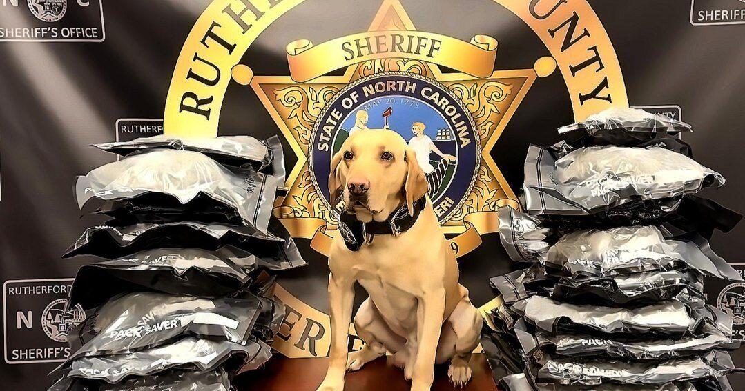 Traffic Stop leads to 40lb marijuana seizure