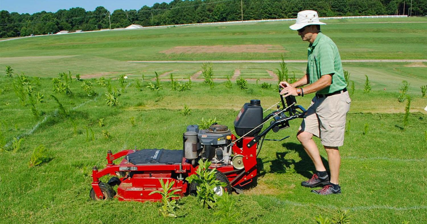 The Great Mower Debate - Vimarsana News