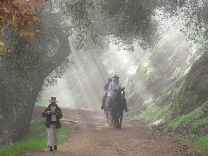 A dirt trail through aAlt: “On a foggy forest trail in Griffith Park, a person walks ahead while two riders on horseback follow behind. Sunbeams stream through large oak branches overhead, lighting the dirt path and the green hillside.” wooded hillside with mist in the air, a person walking in the foreground, and two people riding horses farther down the path under trees.