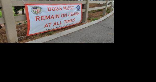 Cracking down on unleashed dogs - Vimarsana News